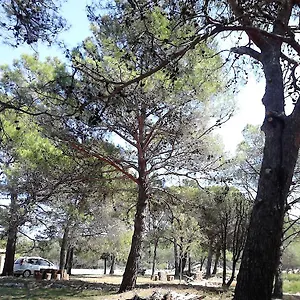  Appartamento Eco Secluded Zabodarski